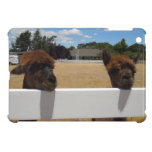 Alpacas in Templeton, California ipad mini cases