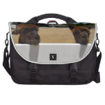Alpacas in Templeton, California commuterbag