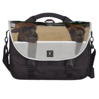 Alpacas in Templeton, California Laptop Messenger Bag