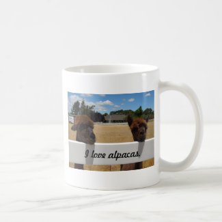 Alpacas in Templeton, California Mugs