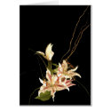 ALPHA#2 cards by alphashots ALPHA#2 cards