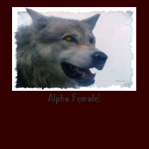 "ALPHA FEMALE IV" T-shirts, Tops & Hoodies by RavenSpiritPrints "ALPHA FEMALE IV" T-shirts, Tops & Hoodies