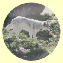 Alpha Female Wolf Dinner Plate plates