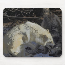 Alpha Male Wolf Challenge Battling Wolves Mouse Pad