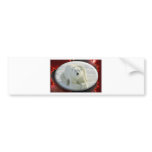 ALPHA POLAR BEAR BUMPER STICKERS