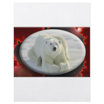ALPHA POLAR BEAR FLYERS