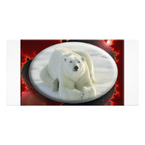 ALPHA POLAR BEAR photo cards