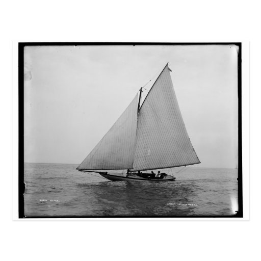 Alpha Sailing Yacht 1892 Postcard