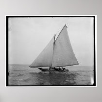 Alpha Sailing Yacht 1892 Poster