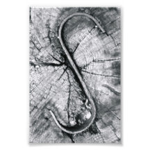Alphabet Letter Photography S2 Black and White 4x6