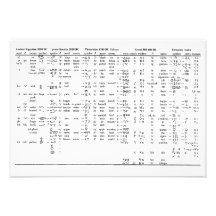 Alphabet Progression Throughout History Chart Announcements