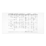 Alphabet Progression Throughout History Chart Picture Card