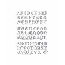 Alphabet typography t-shirts