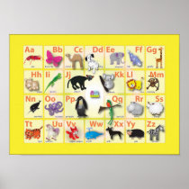 Alphabets: My ABC with 26 animals Poster