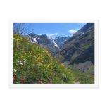 Alpine Beauty Post Cards