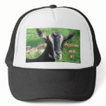 Alpine Cap-customize hats