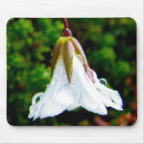 Alpine chickweed mousepads
