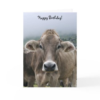 Alpine cow birthday card card