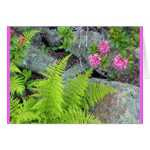 "Alpine Flora" Cards