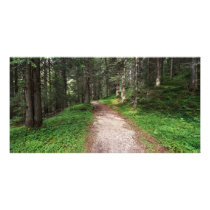 alpine forest custom photo card