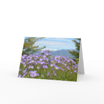 Alpine Forget-me-not Cards
