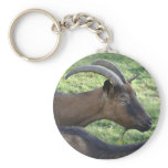 Alpine goat key chains