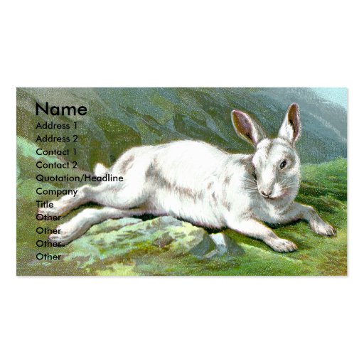 Alpine Hare Business Card Template (front side)