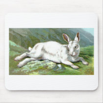 Alpine Hare mousepads