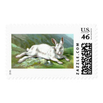 Alpine Hare Postage
