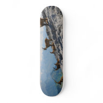 Alpine Ibex Wild Mountain Goats Skate Deck