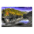 alpine, lake, tree, trees, water, reflection,