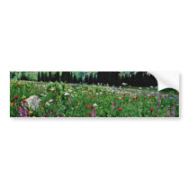 Alpine meadow in the Pasayten Wilderness, Californ Bumper Stickers