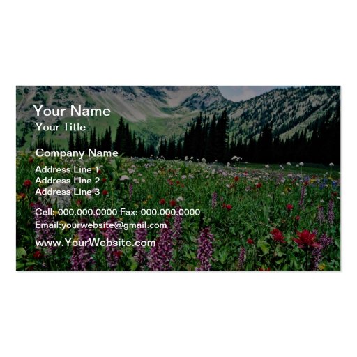 Alpine meadow in the Pasayten Wilderness, Californ Business Card (front side)