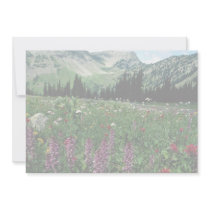 Alpine meadow in the Pasayten Wilderness, Californ Announcement
