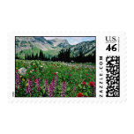 Alpine meadow in the Pasayten Wilderness, Californ Postage