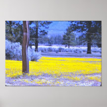 Alpine Meadow Poster