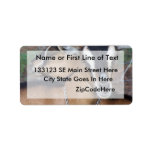 Alpine Oberhasli goat cross young does kids Custom Address Labels