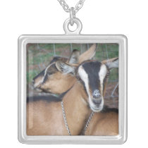 Alpine Oberhasli goat cross young does kids Custom Jewelry