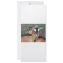 Alpine Oberhasli goat cross young does kids Custom Rack Cards