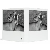 Alpine/Oberhasli goat does sisters photograph bw 3 Ring Binders