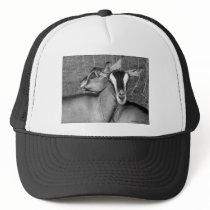 Alpine/Oberhasli goat does sisters photograph bw Trucker Hats