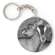 Alpine/Oberhasli goat does sisters photograph bw Keychain