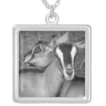 Alpine/Oberhasli goat does sisters photograph bw Necklaces