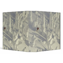 Alpine Skier in thick snowghosts at Big Vinyl Binder