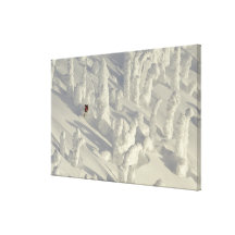 Alpine Skier in thick snowghosts at Big Gallery Wrapped Canvas
