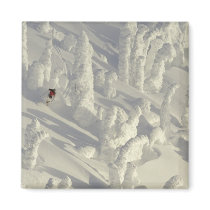 Alpine Skier in thick snowghosts at Big Magnet