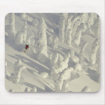 Alpine Skier in thick snowghosts at Big Mousepad