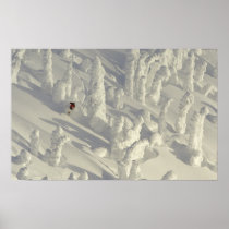 Alpine Skier in thick snowghosts at Big