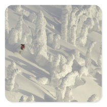 Alpine Skier in thick snowghosts at Big Stickers