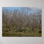 Alpine Trees Pastel Poster